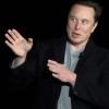 Elon Musk lässt Twitter über seinen Rücktritt abstimmen – So steht es zur Halbzeit - WELT